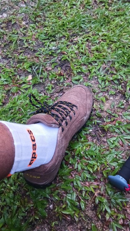 Trip Hiking Denai Puteri Kota Damansara 